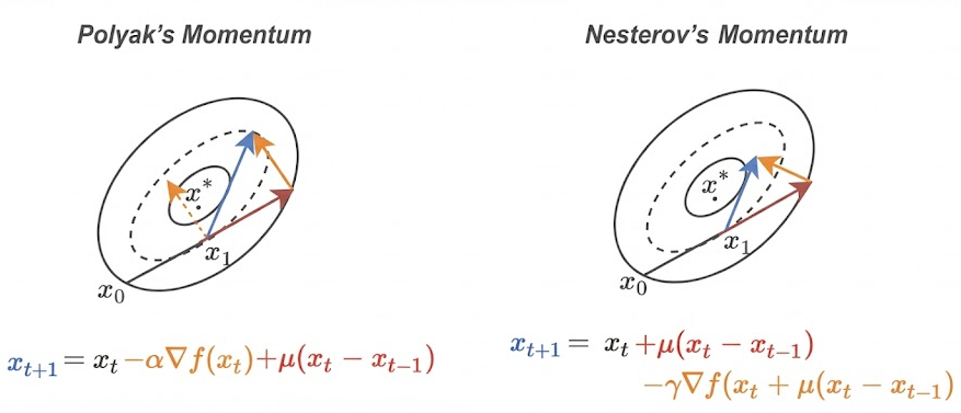 Diagram comparing Polyak's momentum calculating gradient before velocity jump versus Nesterov's look-ahead approach calculating gradient after the jump